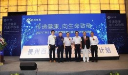 贵州百灵爆料最新消息,揭秘神秘项目背后的真相