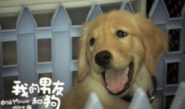 男人日狗电影在线观看,一场禁忌的视觉盛宴